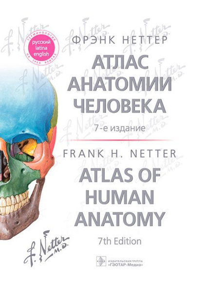 Атлас фрэнк неттер 7 издание. Атлас фрэнк неттер 7 издание