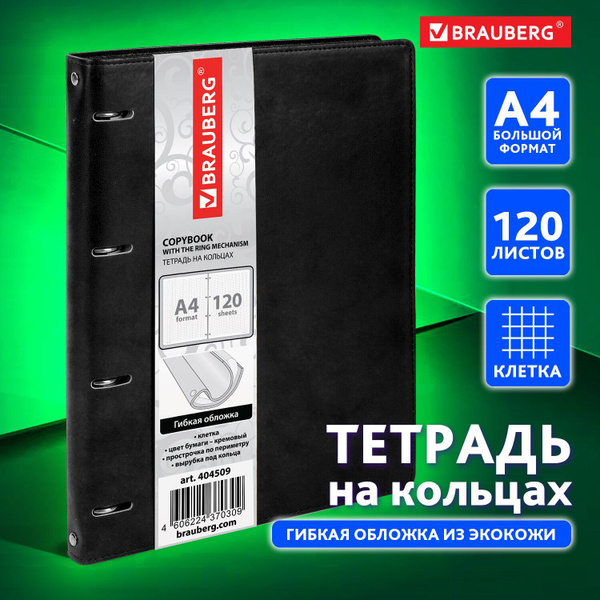Тетрадь на кольцах со сменным блоком для учебы Большая, А4 (240х310 мм
