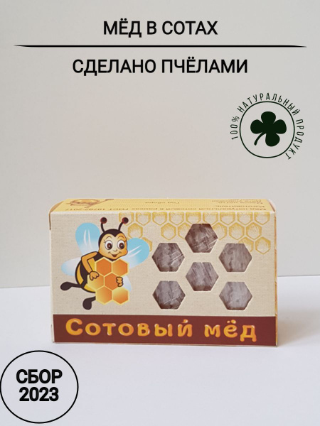 Сотовый мёд, мёд в сотах, мёд цветочный натуральный - купить с ...
