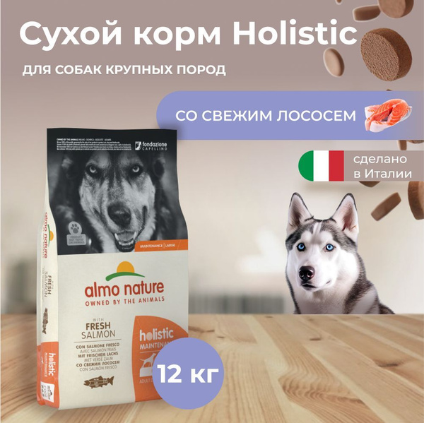 Almo Nature Holistic с Лососем для Крупных пород, сухой корм для собак ...
