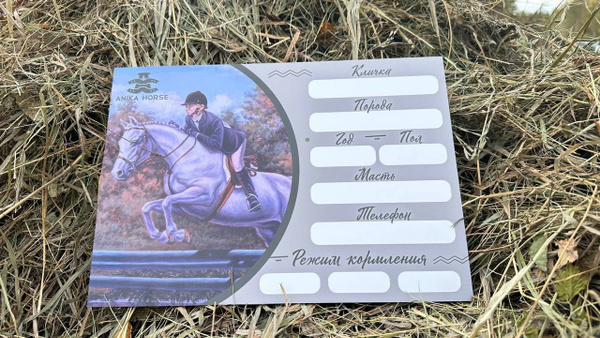 Табличка на денник лошади с маркером от ANIKA HORSE - купить с ...