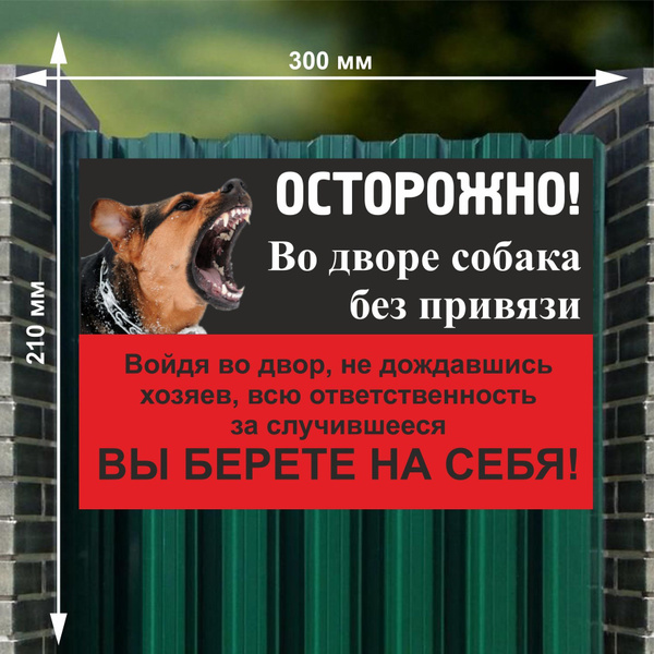 Табличка "Осторожно! Во дворе собака без привязи", 30х21 см., 21 см, 30 ...