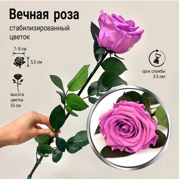 Вечная роза стабилизированная Сиреневая / роза в коробке / подарок  любимой, женщине, маме, девушке / романтичный подарок / цветы для декора  интерьера / альтернатива розе в колбе