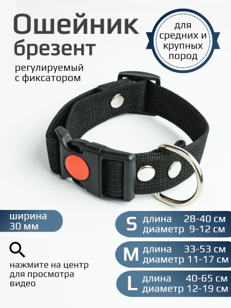 Ошейник для собак средних и крупных пород 30 мм - купить с доставкой по ...
