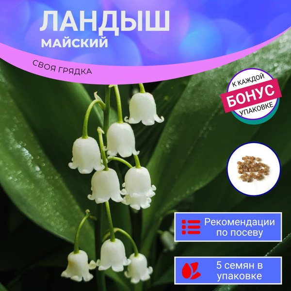 Ландыш XSeedS ландыш - купить по выгодным ценам в интернет-магазине ...