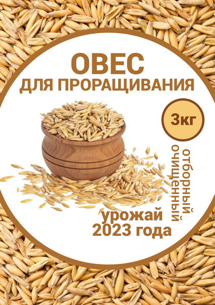 Овес в оболочке - купить с доставкой по выгодным ценам в интернет ...