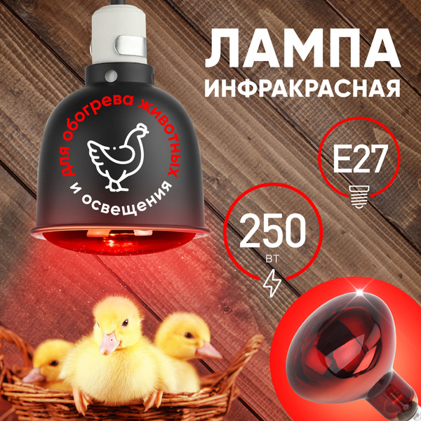 Лампочка ИКЗК 220-250 R127 Е27 ЭРА / Инфракрасная лампа для курятника .