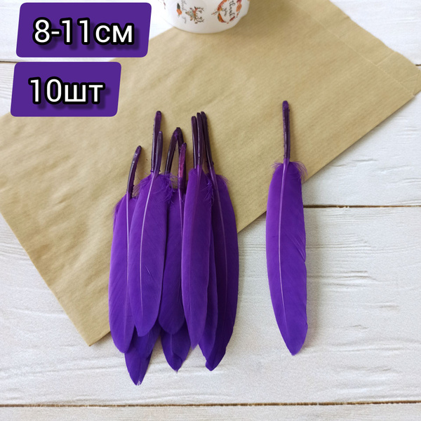 Перья декоративные для творчества и рукоделия. 8-11см. 10шт. - купить с ...