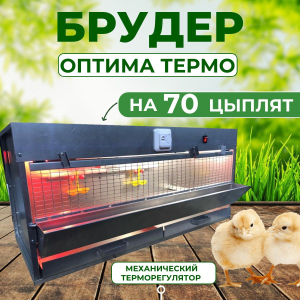 Брудер Для Цыплят С Терморегулятором Купить Цена