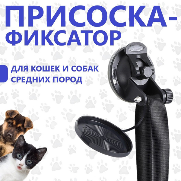 Присоска фиксатор с поводком для купания и груминга собак и кошек ...