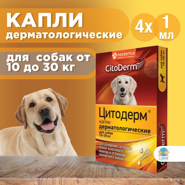 Капли от зуда и перхоти Neoterica Цитодерм для собак 30-60кг, 4 пипетки ...