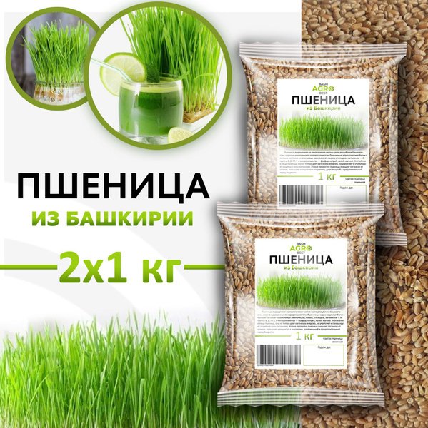 Пшеница для проращивания 2шт. по 1кг. - купить с доставкой по выгодным ...