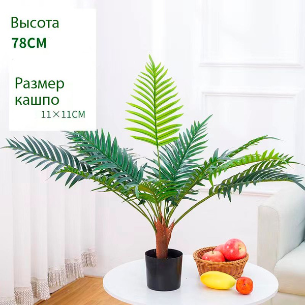 Купить Пальма в горшке по выгодной цене в интернет-магазине OZON.ru ...
