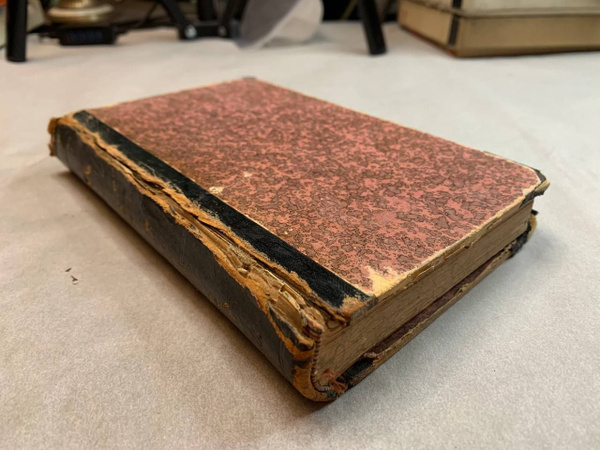 Алиса де Шамбрье 1884 г. Alice de Chambrier Audela купить с