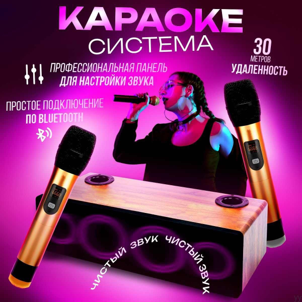 Беспроводная караоке система для дома, 2 микрофона - купить с доставкой ...
