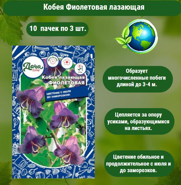 Кобея ДачаTime Кобея Фиолетовая лазающая 3шт 40см (Дачаtime) - купить ...