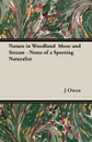 Nature in Woodland Moor and Stream - Notes of a Sporting Naturalist - J. A. Owen