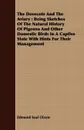 The Dovecote And The Aviary. Being Sketches Of The Natural History Of Pigeons And Other Domestic Birds In A Captive State With Hints For Their Management - Edmund Saul Dixon