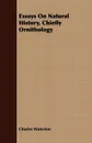 Essays On Natural History, Chiefly Ornithology - Charles Waterton