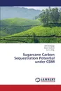 Sugarcane Carbon Sequestration Potential under CDM - Sekajugo John, Isabirye Moses, Raju D.V.N.