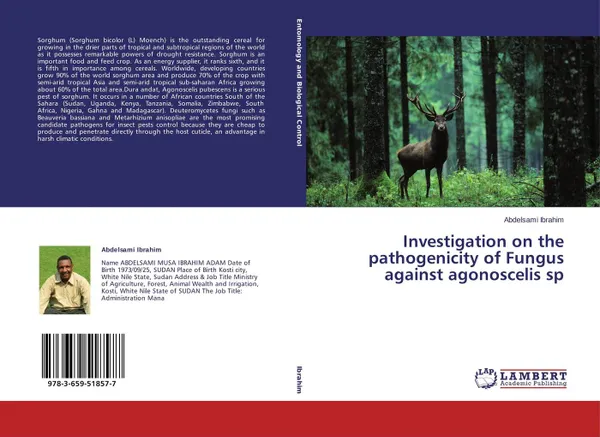 Обложка книги Investigation on the pathogenicity of Fungus against agonoscelis sp, Abdelsami Ibrahim