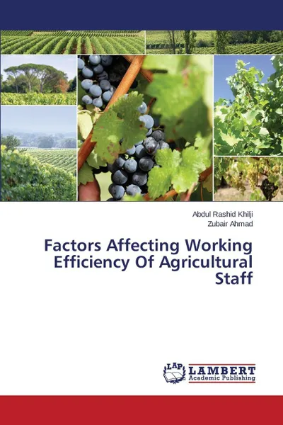 Обложка книги Factors Affecting Working Efficiency of Agricultural Staff, Rashid Khilji Abdul, Ahmad Zubair