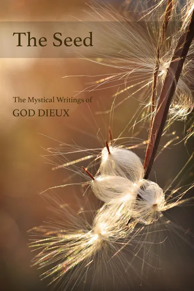 Обложка книги The Seed, God Dieux