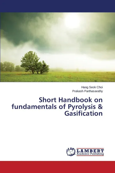 Обложка книги Short Handbook on fundamentals of Pyrolysis & Gasification, Choi Hang Seok, Parthasarathy Prakash