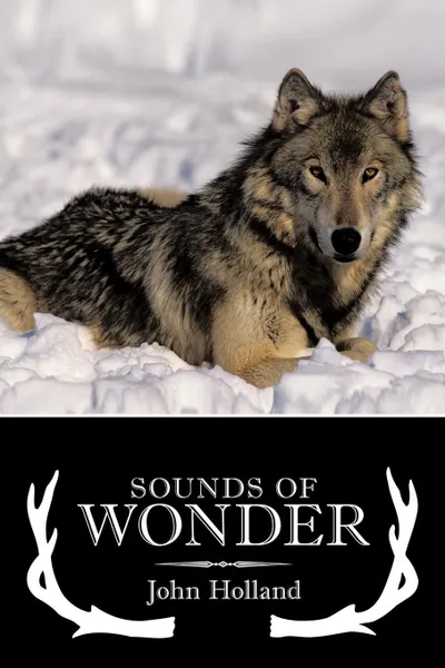 Обложка книги Sounds of Wonder, John Holland