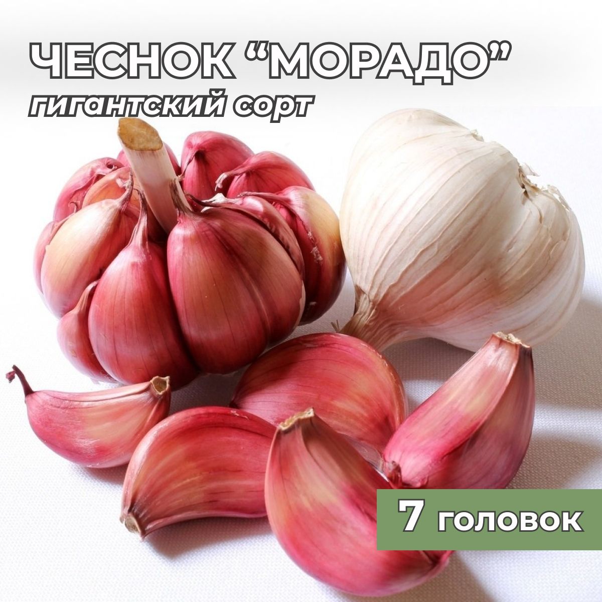 Гигантский чеснок Морадо...