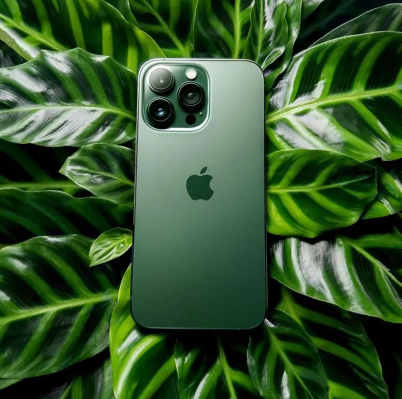 Телефон айфон зеленый. Iphone 13 Pro Green. Iphone 13 Pro Max Green. Iphone 13 Alpine Green. Айфон 13 зеленый.