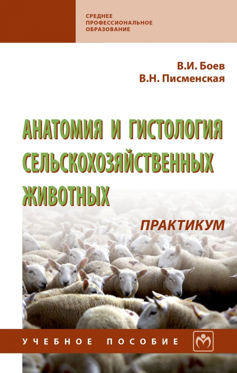 Морфология сельскохозяйственных животных. Анатомия и гистология сельскохозяйственных животных. практикум по анатомии животных.