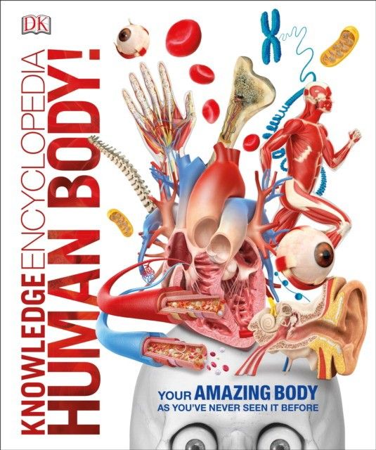 Human Body! Knowlrdge Encyclopedia | DK