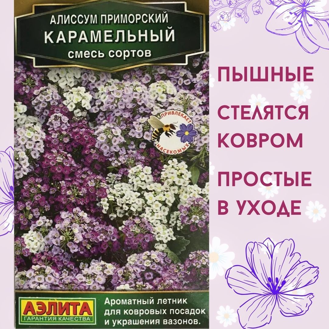 Семена цветов, Алиссум "Карамельный" смесь сортов, семена цветов для сада Аэлита, 0,1г