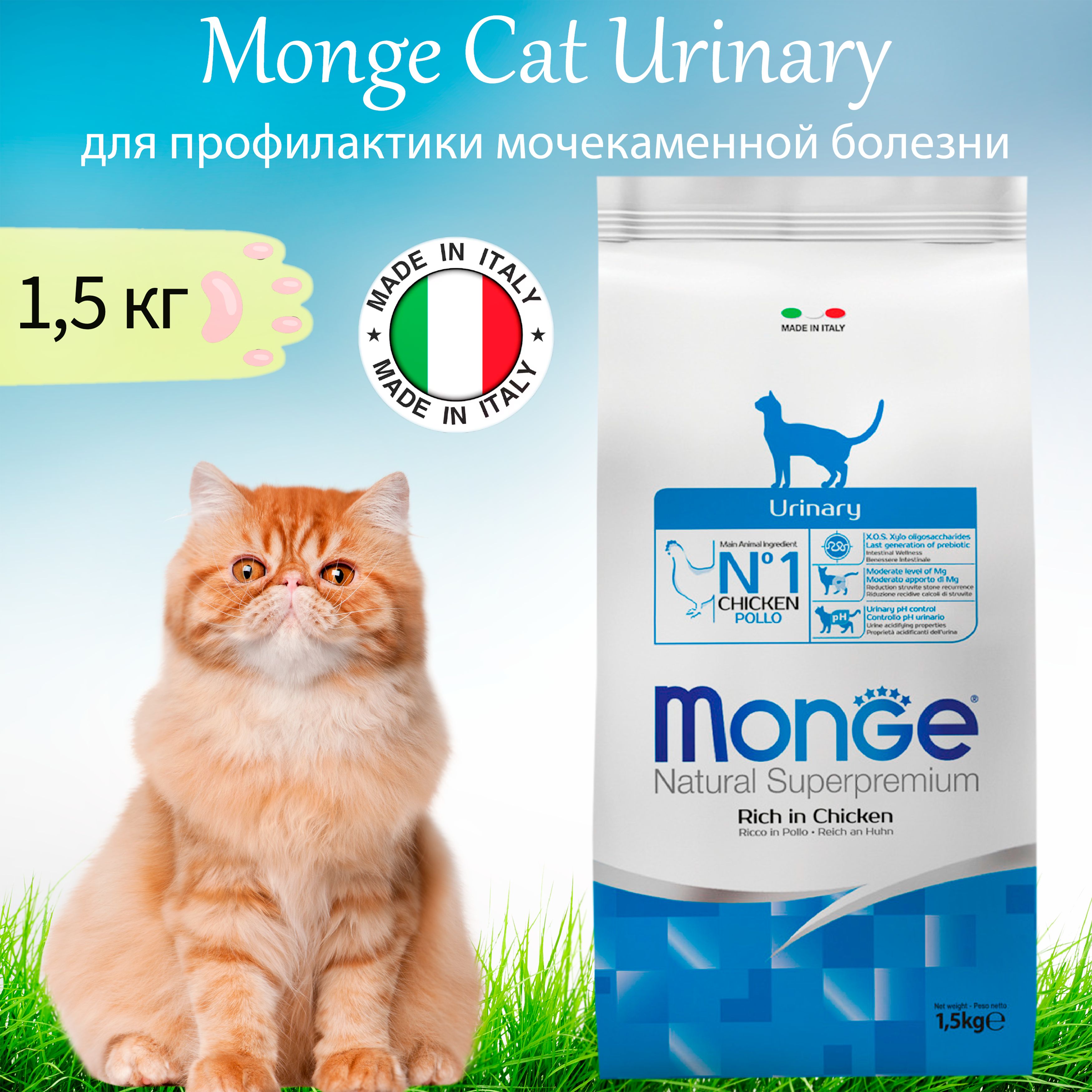 Корм Monge Cat Urinary Купить