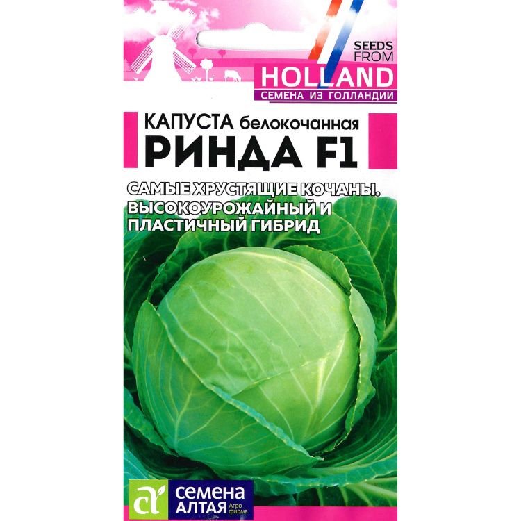 Капуста Ринда F1(图1)