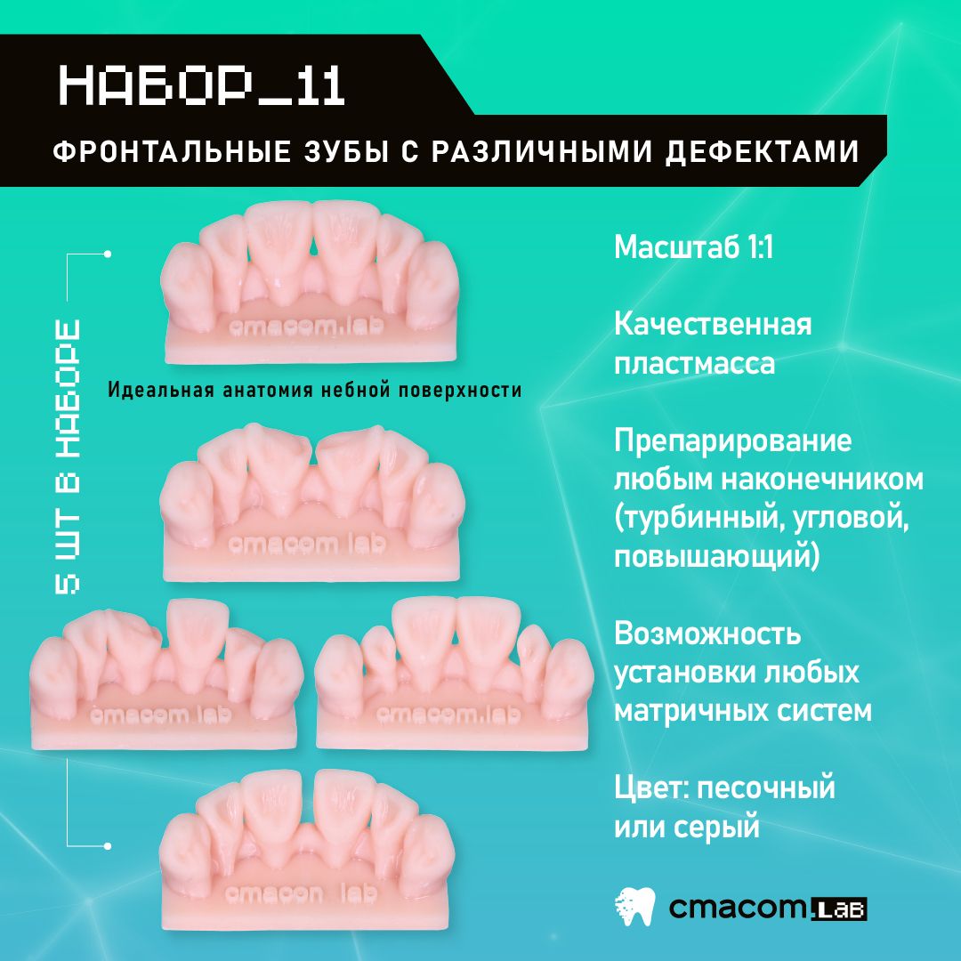 Набор#11 Модели для реставрации фронтальных зубов/5 штук/тренировочные модели для отработки мануальных навыков стоматологов