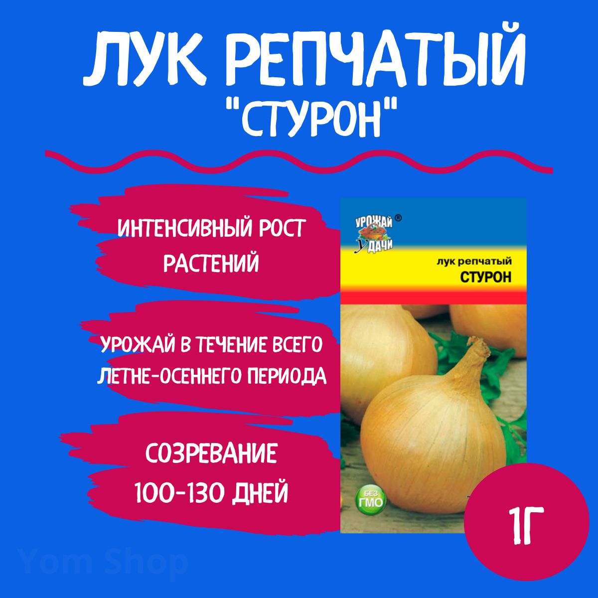 Лук Стурон Описание Сорта Фото Отзывы Цена