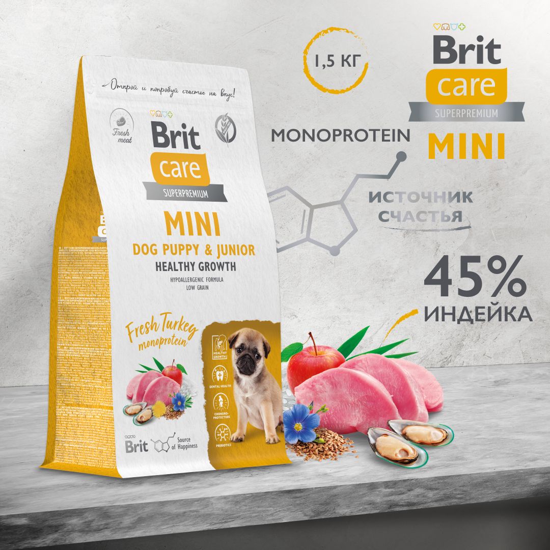 Brit care mini grain free puppy lamb best sale