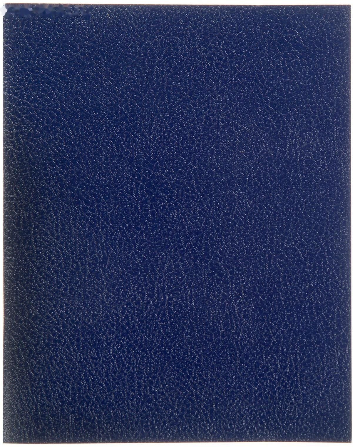 Тетрадь однотонная синяя. , а4 клетка "monotone". Hatber тетради 48 листов синяя. Тетрадь 96л. Блокнот а5, спираль, клетка (50 листов) с нанесением логотипа.