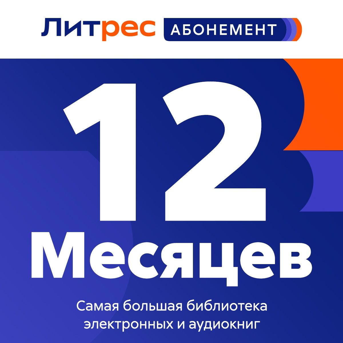 Литрес Абонемент на 12 месяцев купить по выгодной цене в интернет-магазине  OZON.ru (263157698)