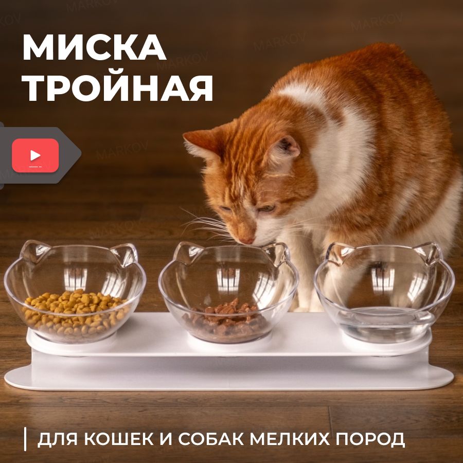 Миска для кошек собак, миски для кошек собак, для животных