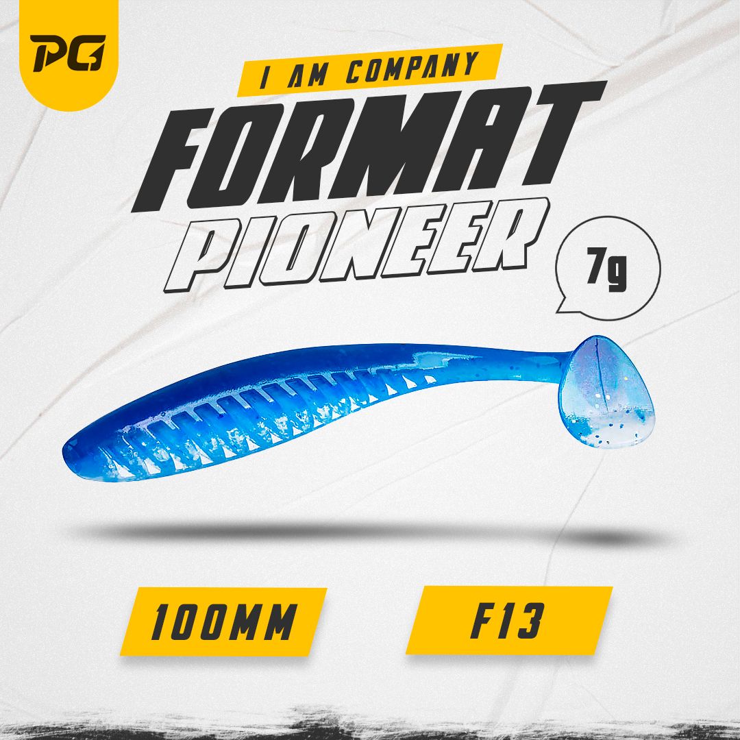 СиликоноваяприманкаFORMATPIONEER100mm(5шт.)цветF13