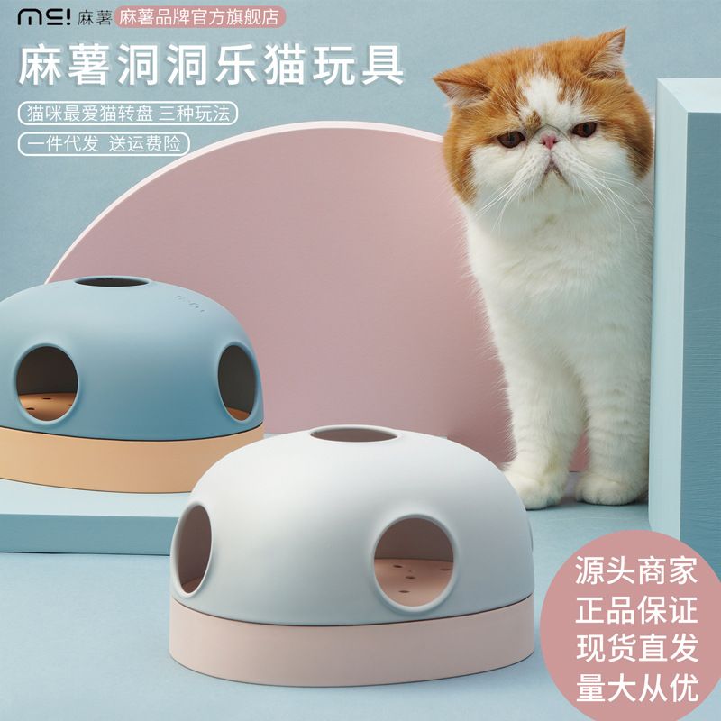 Can you turn cat into pet