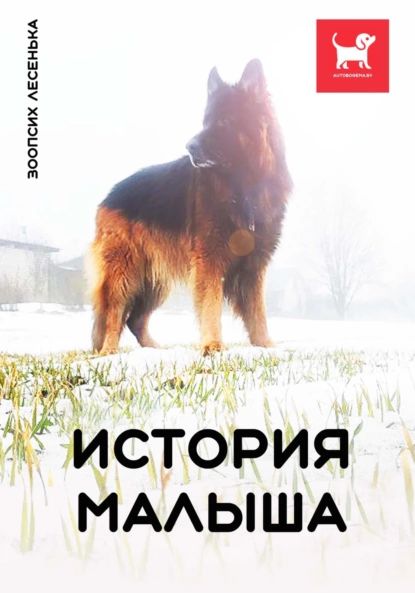 История Малыша | Алеся Александровна Малишевская | Электронная книга