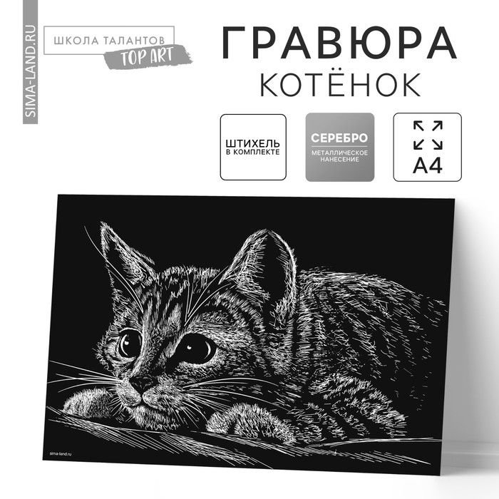 Гравюра Котёнок с металлическим эффектом серебро А4