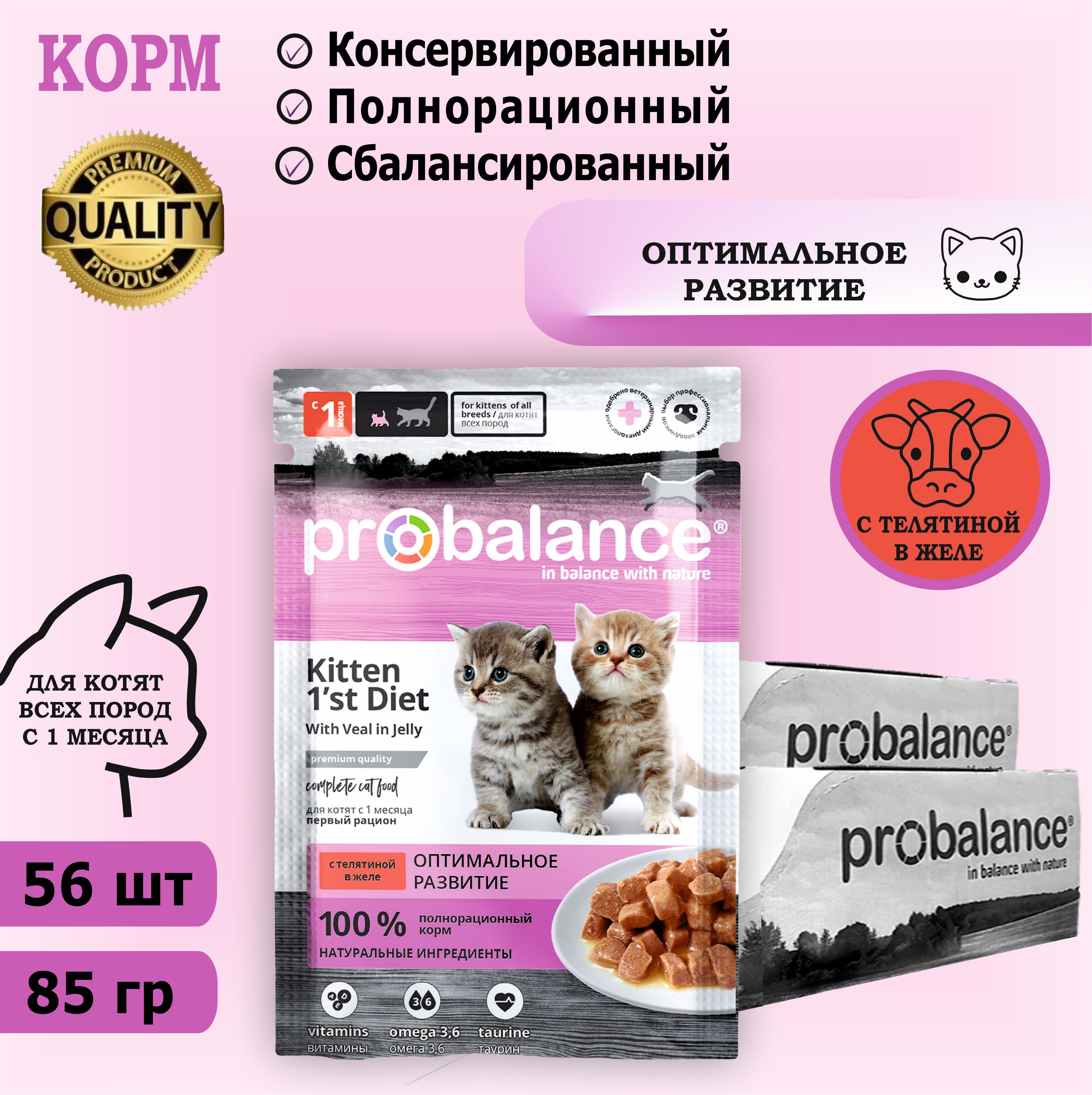 КормконсервированныйдлякотятProbalanceKitten1