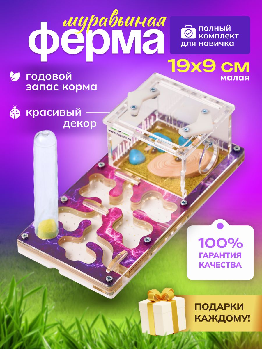 TopAnt Малая муравьиная ферма МАКСИМАЛЬНЫЙ комплект формикарий для муравьев