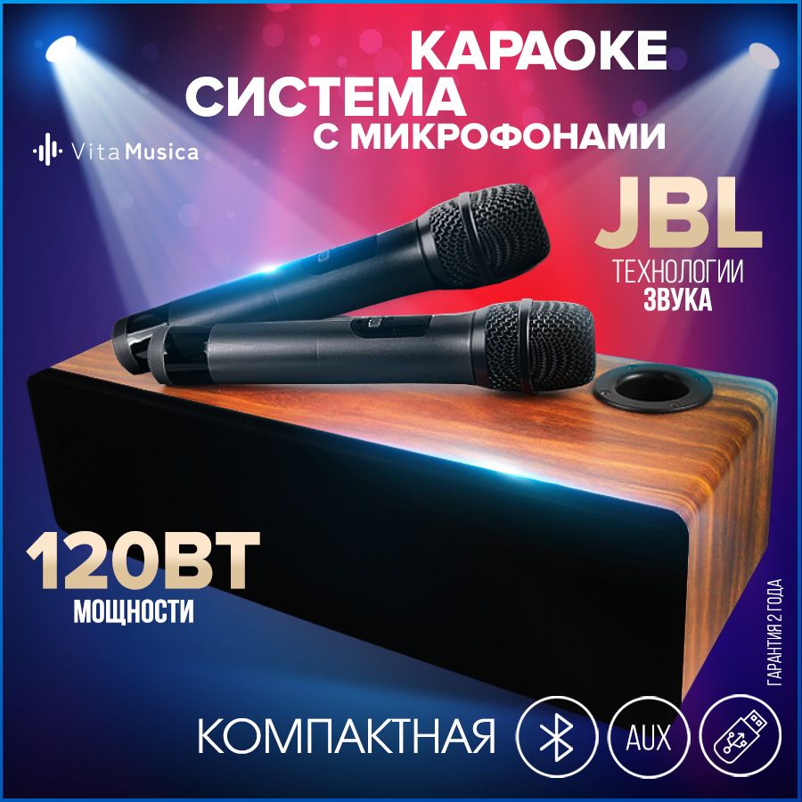 Караоке система Vita Musica с двумя беспроводными микрофонами