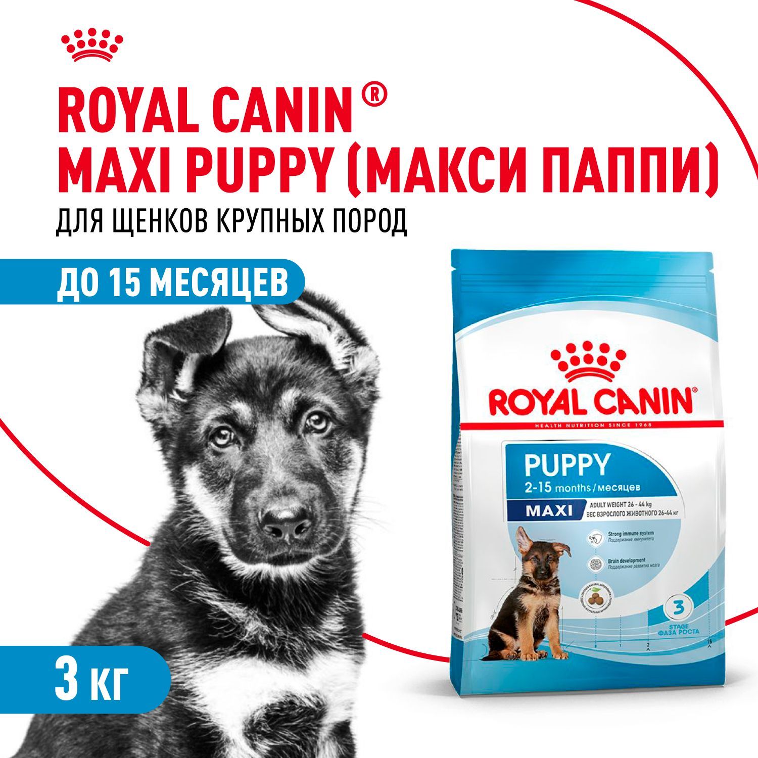 Сухой корм для щенков Royal Canin Maxi для крупных пород, 3 кг